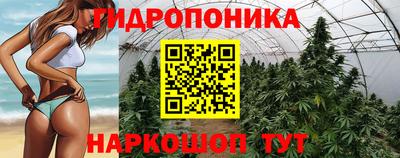 ECSTASY Беслан