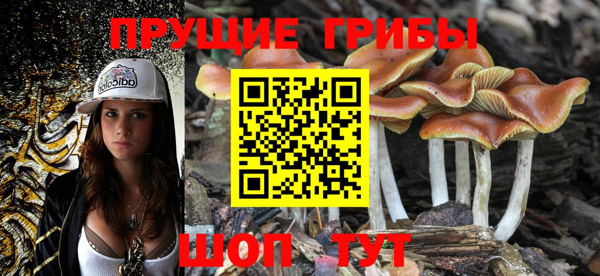наркота  Вход с VPN  Губаха  Псилоцибиновые грибы Psilocybe 